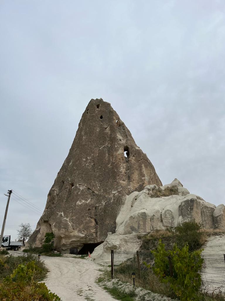 WhatsApp Image 2023-12-09 at 16.45.54